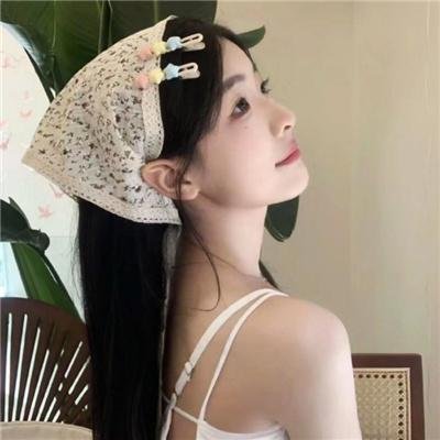 篝火晚会封面